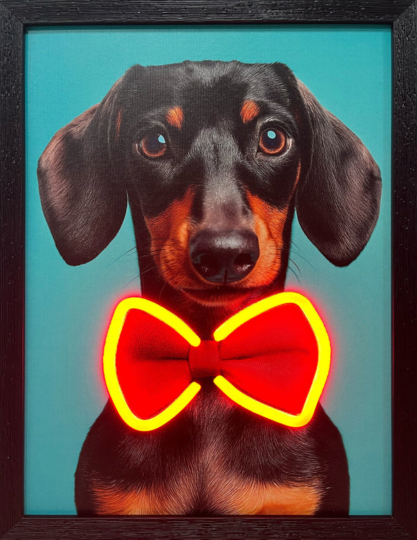 LED Neon Framed Wall Art – Daschund